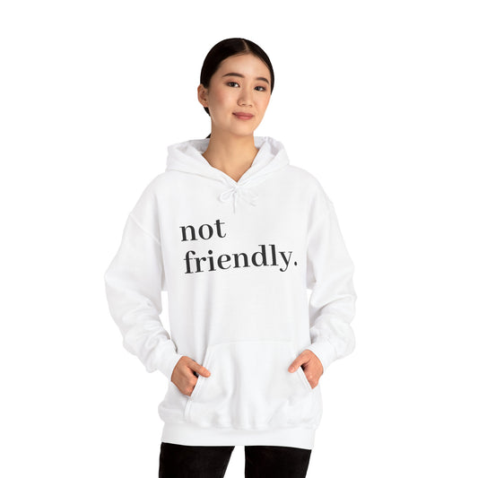 'Not Friendly' Hoodie for Those Who Value Their Solitude